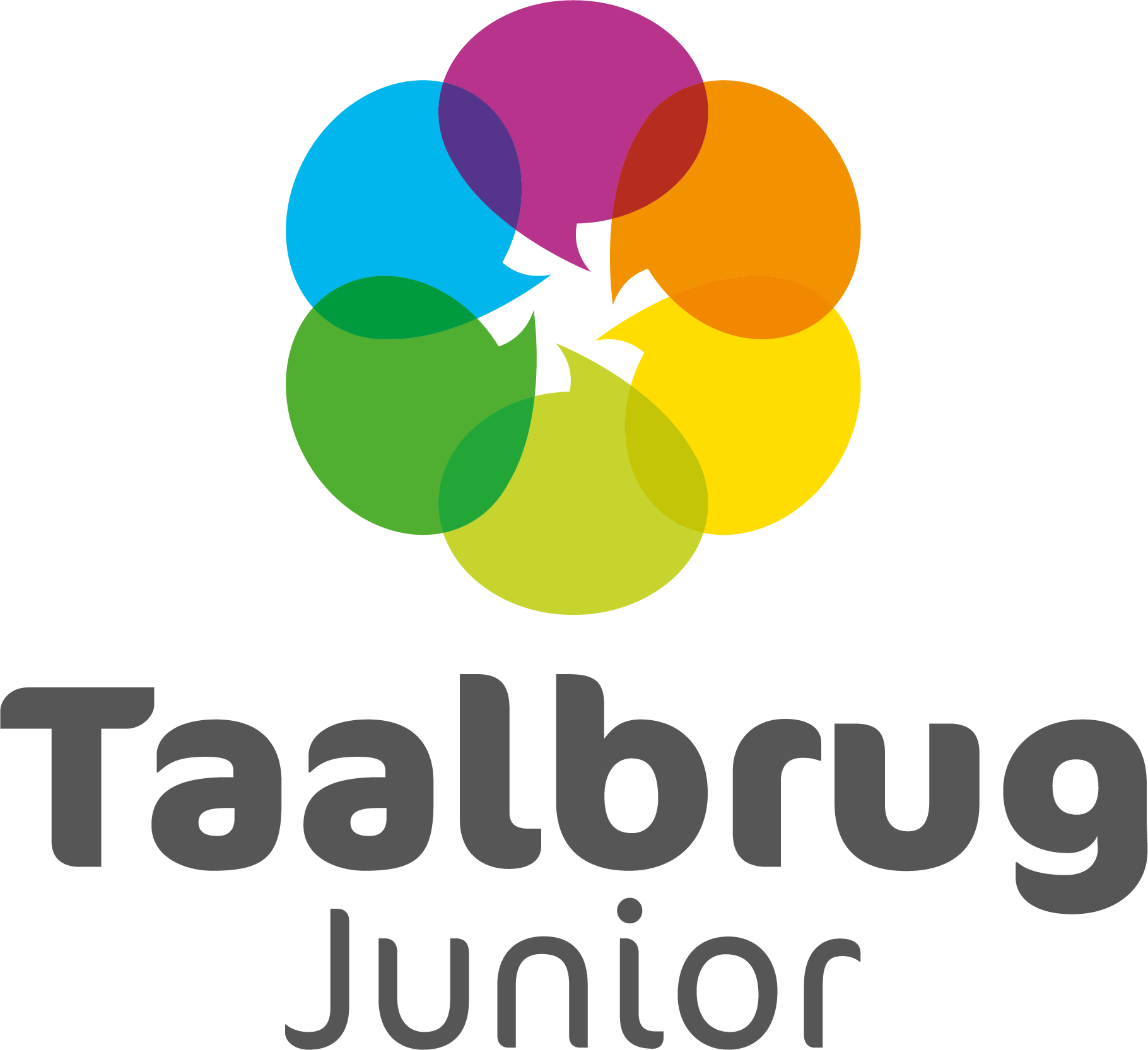 Taalbrug Logo